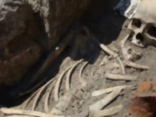Φωτογραφία για Βρέθηκε σκελετός βρυκόλακα στη Βουλγαρία