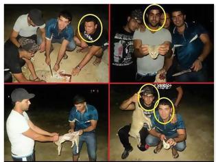 Φωτογραφία για Φωτογραφίες που ΣΟΚΑΡΟΥΝ...! Αλλοδαποί τρώνε γάτες στην Ελλάδα!