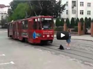 Φωτογραφία για Τεμπέλης σκύλος αρνείται πεισματικά να σηκωθεί για να περάσει το τραμ [Video]