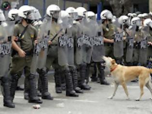 Φωτογραφία για ΠΕΡΙ ΤΗΣ ΥΙΟΘΕΣΙΑΣ ΤΟΥ «ΛΟΥΚΑΝΙΚΟΥ». ΤΟΥ ΓΝΩΣΤΟΥ ΣΕ ΟΛΟΥΣ ΜΑΣ ΣΚΥΛΟΥ ΤΩΝ ΔΙΑΔΗΛΩΣΕΩΝ