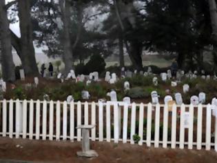 Φωτογραφία για Κοινό νεκροταφείο για τα ζώα και τα αφεντικά τους