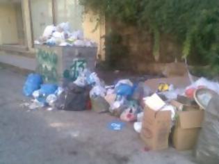 Φωτογραφία για Βουνά τα σκουπίδια στον Πύργο Ηλείας αναφέρει αναγνώστης