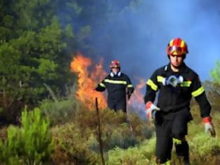 Φωτογραφία για Συνεχίζει να καίει η φωτιά στο Καρύδι Αγίου Νικολάου