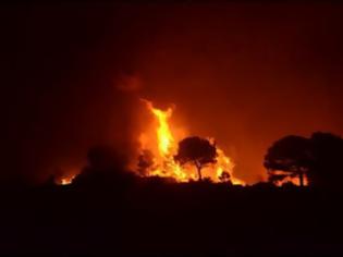 Φωτογραφία για Υπό πλήρη έλεγχο τέθηκε η φωτιά στη Κρήτη