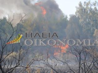 Φωτογραφία για Νεότερα για την πυρκαγιά στο άλσος της Σπιάτζας
