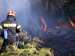 Φωτογραφία για Πυρκαγιά στον Άγιο Νικόλαο Κρήτης