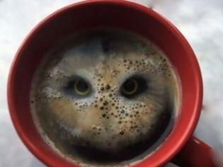 Φωτογραφία για ΔΕΙΤΕ: Καλλιτέχνης σχημάτισε κουκουβάγια στο καϊμάκι του καφέ!