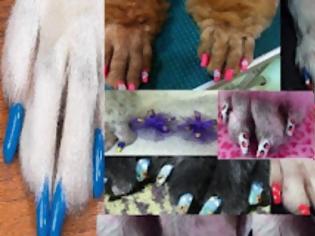 Φωτογραφία για Οι τελευταίες τάσεις της μόδας στα νύχια… των σκύλων!