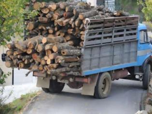 Φωτογραφία για Ηλεία: Μπλόκα στους δρόμους για παράνομα φορτηγά με καυσόξυλα!