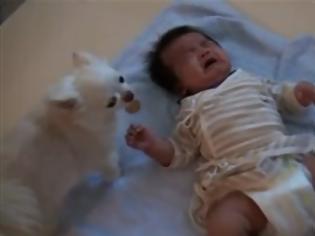 Φωτογραφία για Απίστευτο βίντεο..Σκυλάκι παρηγορεί μωρό που κλαίει!!!