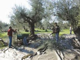 Φωτογραφία για Οκτώβριο η προκαταβολή της ενιαίας ενίσχυσης;