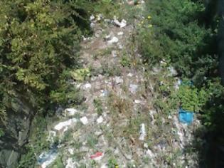 Φωτογραφία για Πάτρα: Σκουπιδότοπος ο Διακονιάρης – Κουνούπια και τρωκτικά παντού