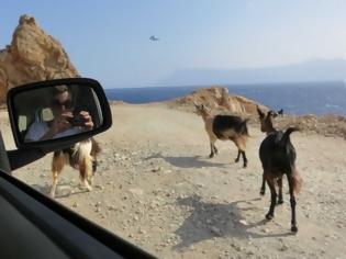 Φωτογραφία για Γερμανοί τουρίστες ισχυρίζονατι ότι φωτογράφισαν UFO στην Κρήτη!!!