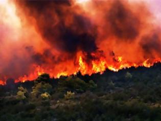 Φωτογραφία για Σε εξέλιξη φωτιά στον Αλμυρό Μαγνησίας