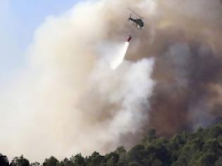 Φωτογραφία για Η Αλ Κάιντα πυρπόλησε τα δάση της Ευρώπης