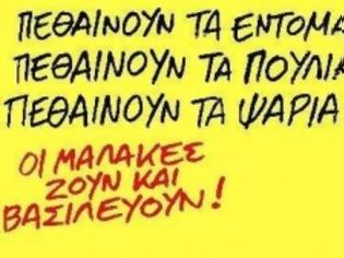 Φωτογραφία για Πριν ένα χρονο κυνηγούσαν βουλευτές και τώρα κυνηγούν… πακιστανούς στα πανήγυρια