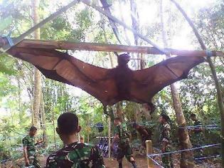 Φωτογραφία για Απίστευτο κ όμως ΑΛΗΘΙΝΟ!!! Στο Περού ο στρατός έχει συλλάβει τεραστίων διαστάσεων νυχτερίδα!