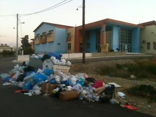 Φωτογραφία για Πώς να κρυφτείς από τα παιδιά της πόλης του Πύργου;