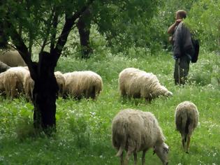 Φωτογραφία για Ουρές υποψηφίων για μια θέση... τσοπάνη!