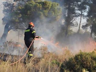 Φωτογραφία για Στάχτη έγιναν 70 στρέμματα στην Άγρα