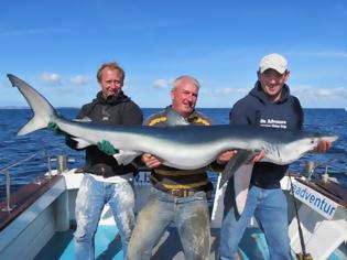 Φωτογραφία για Έπιασε το μεγαλύτερο μπλε καρχαρία στη Μ. Βρετανία