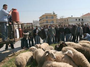 Φωτογραφία για «Βουβή λειτουργία καρτέλ» καταγγέλλουν οι κτηνοτρόφοι