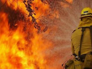 Φωτογραφία για Πυρκαγιά καίει δάσος στην Αμαλιάδα