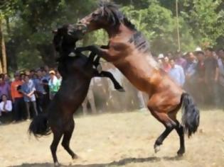 Φωτογραφία για Βάρβαρες αλογομαχίες στην Κίνα