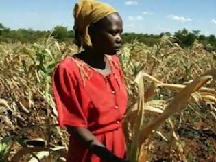 Φωτογραφία για «Καμπανάκι» ΟΗΕ για νέα επισιτιστική κρίση το 2013 -  Tα παγκόσμια αποθέματα σιτηρών βρίσκονται στα χαμηλότερα επίπεδα από το 1974