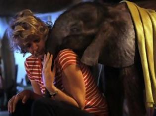 Φωτογραφία για Όταν μία μητέρα υιοθέτησε ένα ελεφαντάκι