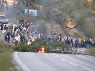 Φωτογραφία για Οικολόγοι ακτιβιστές έκοψαν και έκαψαν δέντρο για να κάνουν οδόφραγμα στις Σκουριές