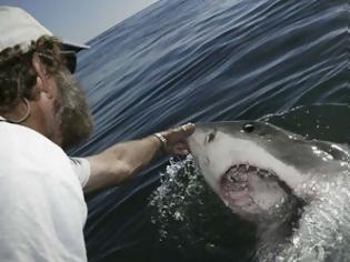 Φωτογραφία για Ο άνθρωπος που… υπνωτίζει τους καρχαρίες [video]