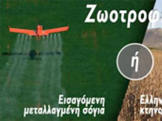 Φωτογραφία για Greenpeace: Στρουθοκαμηλισμοί εταιρειών στο σήμα κινδύνου!