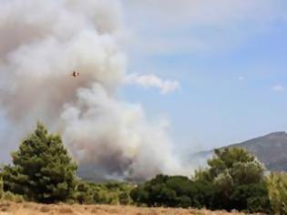 Φωτογραφία για Υπό πλήρη έλεγχο η πυρκαγιά στα Καρδάμυλα [video]