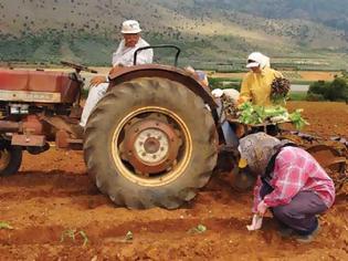 Φωτογραφία για ΑΡΤΑ: Εντός της εβδομάδας η καταβολή των οικονομικών ενισχύσεων στους αγρότες