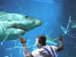 Φωτογραφία για Τι γίνεται όταν ραγίσει το τζάμι στο ενυδρείο με τους καρχαρίες; - BINTEO