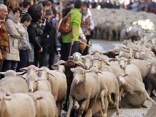 Φωτογραφία για Χιλιάδες πρόβατα... παρήλασαν στους δρόμους της Μαδρίτης