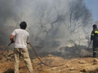 Φωτογραφία για Φλέγεται η Κρήτη λόγω νοτιάδων - Ολοήμερη μάχη των πυροσβεστών