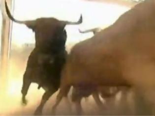 Φωτογραφία για Κιλκίς: Νεκρός από επίθεση ταύρου στην αυλή του σπιτιού του