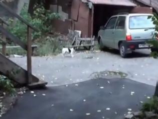 Φωτογραφία για Γυναίκα τρακάρει... στο γκαράζ της! [Video]