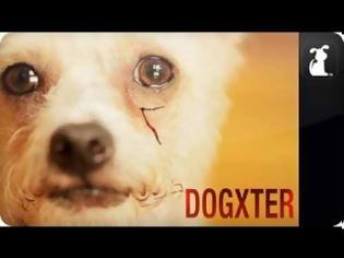 Φωτογραφία για Πώς θα ήταν αν ο Dexter γινόταν Dogster και πρωταγωνιστής ήταν ένας σκύλος; [Video]