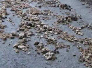 Φωτογραφία για Πάτρα: Βγήκε η θάλασσα στο δρόμο - Παγίδες τα φύκια και οι πέτρες