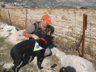 Φωτογραφία για Ειδική ομάδα σκύλων ψάχνει δηλητηριασμένα δολώματα - Τριάντα πέντε σκύλοι από την Ανδαλουσία «κυνηγούν το δηλητήριο» στην Ελλάδα, την Ισπανία και την Πορτογαλία
