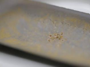 Φωτογραφία για Ερευνητές έφτιαξαν χρυσό 24 καρατίων χρησιμοποιώντας βακτήρια!