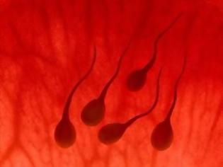 Φωτογραφία για Αποκατάσταση σπέρματος μέσω βλαστοκυττάρων