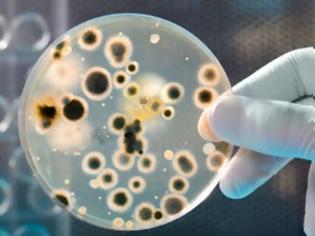 Φωτογραφία για Τα μικρόβια θα απομείνουν μοναδικοί κάτοικοι της Γης!