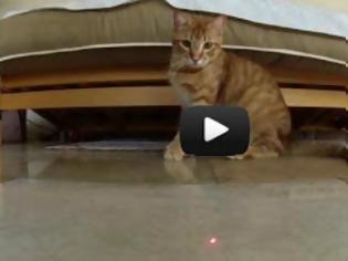 Φωτογραφία για Γάτες εναντίον Laser [Video]