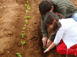 Φωτογραφία για Λαχανόκηποι στα σχολεία του Λουτρακίου