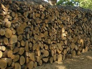 Φωτογραφία για Δέκα τόνοι λαθραίων ξύλων κατασχέθηκαν στη Βόρεια Ελλάδα