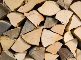 Φωτογραφία για Κατασχέθηκαν δέκα τόνοι ξύλα που είχαν κοπεί παράνομα